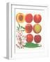 Peach-null-Framed Art Print