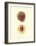 Peach-null-Framed Art Print