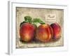 Peach-Kate Ward Thacker-Framed Giclee Print