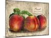 Peach-Kate Ward Thacker-Mounted Giclee Print