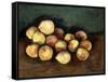 Peaches, 1940 (Oil on Canvas)-Walt Kuhn-Framed Stretched Canvas