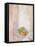 Peaches and Grapes, 1993-Diana Schofield-Framed Stretched Canvas
