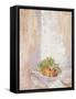 Peaches and Grapes, 1993-Diana Schofield-Framed Stretched Canvas