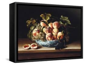 Peaches and Grapes in a Blue and White Chinese Porcelain Bowl, 1634-Louise Moillon-Framed Stretched Canvas