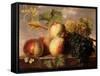 Peaches and Grapes with a Cabbage White on a Marble Ledge-Jan Frans Dael-Framed Stretched Canvas