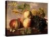 Peaches and Grapes with a Cabbage White on a Marble Ledge-Jan Frans Dael-Stretched Canvas