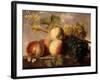 Peaches and Grapes with a Cabbage White on a Marble Ledge-Jan Frans Dael-Framed Giclee Print