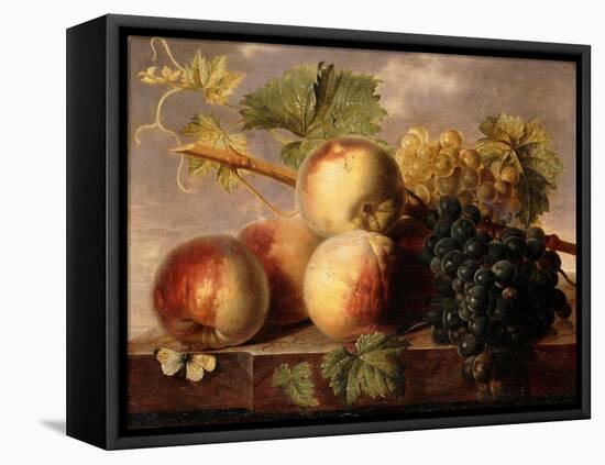 Peaches and Grapes with a Cabbage White on a Marble Ledge-Jan Frans Dael-Framed Stretched Canvas