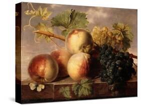 Peaches and Grapes with a Cabbage White on a Marble Ledge-Jan Frans Dael-Stretched Canvas