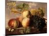 Peaches and Grapes with a Cabbage White on a Marble Ledge-Jan Frans Dael-Mounted Giclee Print