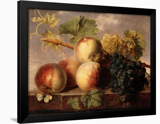 Peaches and Grapes with a Cabbage White on a Marble Ledge-Jan Frans Dael-Framed Giclee Print