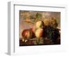 Peaches and Grapes with a Cabbage White on a Marble Ledge-Jan Frans Dael-Framed Premium Giclee Print