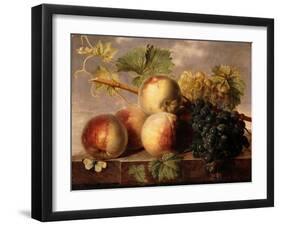 Peaches and Grapes with a Cabbage White on a Marble Ledge-Jan Frans Dael-Framed Giclee Print