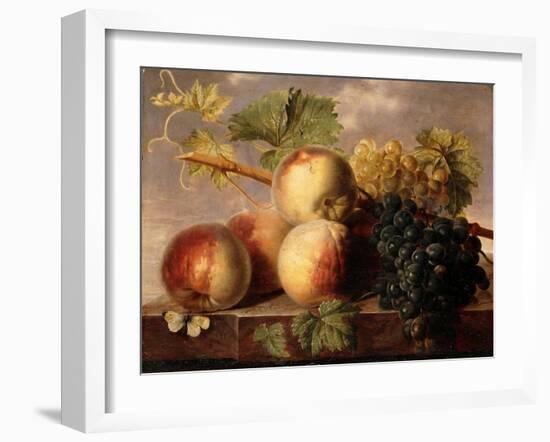 Peaches and Grapes with a Cabbage White on a Marble Ledge-Jan Frans Dael-Framed Giclee Print