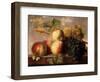 Peaches and Grapes with a Cabbage White on a Marble Ledge-Jan Frans Dael-Framed Giclee Print