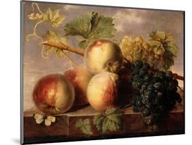 Peaches and Grapes with a Cabbage White on a Marble Ledge-Jan Frans Dael-Mounted Giclee Print
