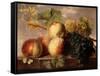 Peaches and Grapes with a Cabbage White on a Marble Ledge-Jan Frans Dael-Framed Stretched Canvas