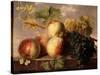 Peaches and Grapes with a Cabbage White on a Marble Ledge-Jan Frans Dael-Stretched Canvas