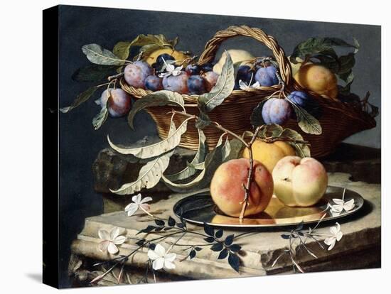 Peaches and Plums in a Wicker Basket, Peaches on a Silver Dish and Narcissi on Stone Plinths-Christian Berentz-Stretched Canvas