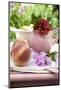 Peaches and Redcurrants on a Table in a Garden-Eising Studio - Food Photo and Video-Mounted Photographic Print