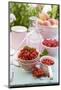 Peaches, Berries, Sugar and Jam Jars on Garden Table-Eising Studio - Food Photo and Video-Mounted Photographic Print