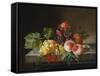 Peaches, Grapes, a Pineapple, Redcurrants and a Passion Flower in a Vase on a Ledge-Anna Plenge-Framed Stretched Canvas