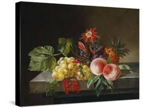 Peaches, Grapes, a Pineapple, Redcurrants and a Passion Flower in a Vase on a Ledge-Anna Plenge-Stretched Canvas