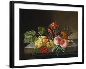 Peaches, Grapes, a Pineapple, Redcurrants and a Passion Flower in a Vase on a Ledge-Anna Plenge-Framed Giclee Print