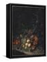Peaches, Grapes, Pomegranates, Melons, a Corncob, Apricots, Plums, Pears, Acorns, 1718-Rachel Ruysch-Framed Stretched Canvas