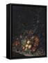 Peaches, Grapes, Pomegranates, Melons, a Corncob, Apricots, Plums, Pears, Acorns-Rachel Ruysch-Framed Stretched Canvas