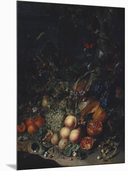 Peaches, Grapes, Pomegranates, Melons, a Corncob, Apricots, Plums, Pears, Acorns-Rachel Ruysch-Mounted Giclee Print