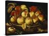 Peaches in a Silver-Gilt Bowl on a Ledge-Jacques Linard-Stretched Canvas