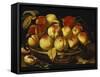 Peaches in a Silver-Gilt Bowl on a Ledge-Jacques Linard-Framed Stretched Canvas