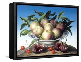 Peaches in Delft Bowl with Purple Figs-Amelia Kleiser-Framed Stretched Canvas