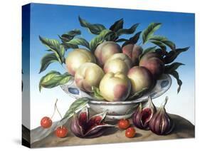 Peaches in Delft Bowl with Purple Figs-Amelia Kleiser-Stretched Canvas