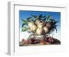 Peaches in Delft Bowl with Purple Figs-Amelia Kleiser-Framed Giclee Print