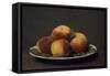 Peaches on a Dish, 1873-Ignace Henri Jean Fantin-Latour-Framed Stretched Canvas