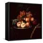 Peaches on a Pewter Plate with Grapes and a Fig on a Draped Ledge-Ernst Stuven-Framed Stretched Canvas