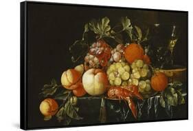 Peaches, Oranges, Grapes and Langoustines on a Pewter Plate and a Conical Roemer on a Box on a…-Cornelis De Heem-Framed Stretched Canvas