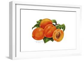 Peaches-Tim Knepp-Framed Giclee Print