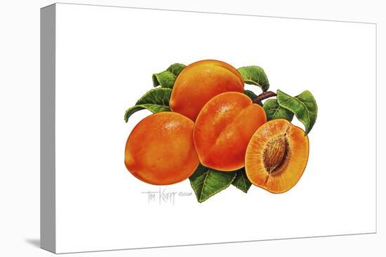 Peaches-Tim Knepp-Stretched Canvas