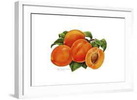 Peaches-Tim Knepp-Framed Giclee Print