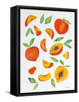 Peaches-Cat Coquillette-Framed Stretched Canvas