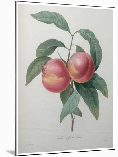 Peaches-Pierre-Joseph Redoute-Mounted Art Print
