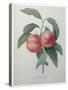 Peaches-Pierre-Joseph Redoute-Stretched Canvas