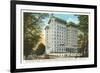 Peachtree Street, Atlanta, Georgia-null-Framed Premium Giclee Print