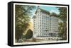 Peachtree Street, Atlanta, Georgia-null-Framed Stretched Canvas