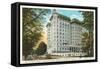 Peachtree Street, Atlanta, Georgia-null-Framed Stretched Canvas