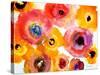 Peachy Floral-Lanie Loreth-Stretched Canvas