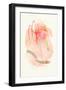 Peachy Keen No. 2-Suzanne Nicoll-Framed Art Print